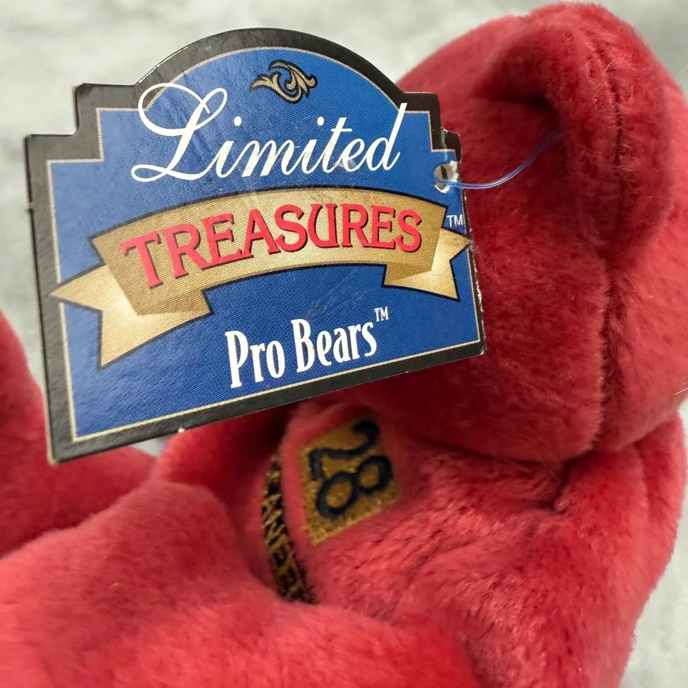 Warrick Dunn‎ Tampa Bay Buccaneers NFL Pro Bears #28 Limited Treasures